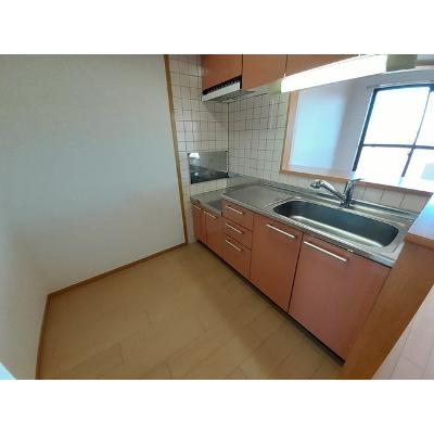 パラッツオ白山 405【管理NO：1-012072201-04040】 2026年07月下旬入居可能の物件画像