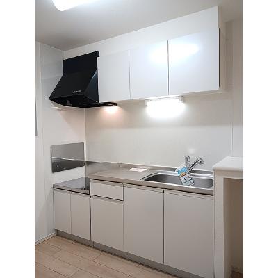 セレノＦ　Ⅱ 203【管理NO：1-021809002-02030】 ★家具家電は申し込み後に搬入します★の物件画像