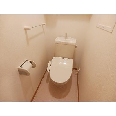 メゾン・ド・セレノ 201【管理NO：1-014423401-02010】 2026年07月中旬入居可能の物件画像
