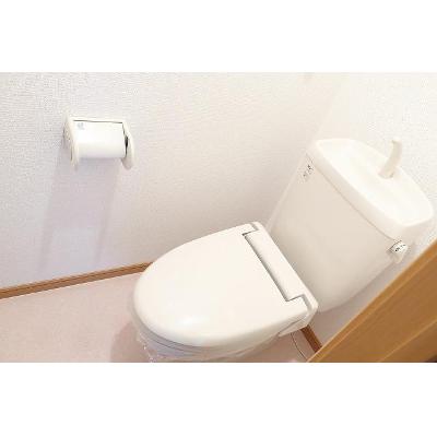 メゾン　ローレル 205【管理NO：1-013273501-02040】 2026年07月中旬入居可能の物件画像