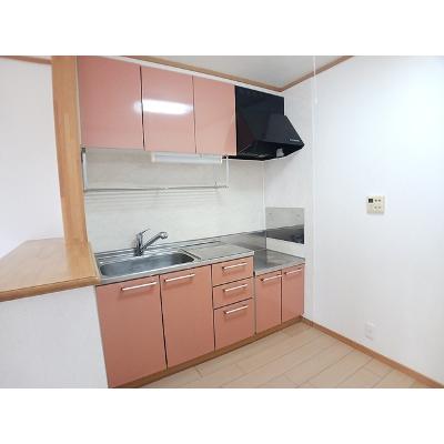 アンソレイエ 201【管理NO：1-012623001-02010】 ★家具家電は申し込み後に搬入しますの物件画像