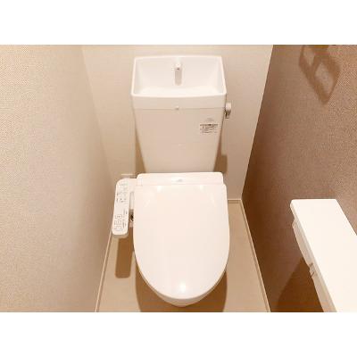 ナチュラル　カーサ　Ⅱ 205【管理NO：1-027296102-02040】 ★家具家電は申し込み後に搬入しますの物件画像