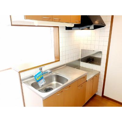 グリーンハウス東中島 203【管理NO：1-011291701-02030】 2026年07月下旬入居可能の物件画像