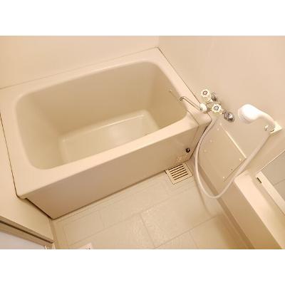 エレガンスながら 203【管理NO：1-004304801-02030】 ★家具家電は申し込み後に搬入しますの物件画像