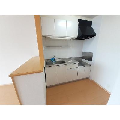 サン　ソレーユ 201【管理NO：1-016114401-02010】 ★家具家電は申し込み後に搬入しますの物件画像