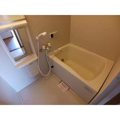 メゾンソルトヴァリー 202【管理NO：1-009590501-02020】 ★家具家電は申し込み後に搬入しますの物件画像