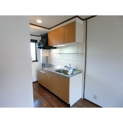 アヴニール川瀬 202【管理NO：1-011521601-02020】 ★家具家電は申し込み後に搬入しますの物件画像