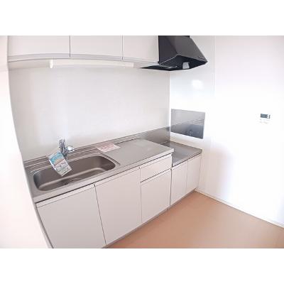 ムーンライト・ガーデン 205【管理NO：1-018988701-02040】 ★家具家電は申し込み後に搬入しますの物件画像