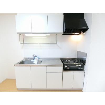 プラシード１１ 205【管理NO：1-017296101-02040】 ★家具家電は申し込み後に搬入しますの物件画像