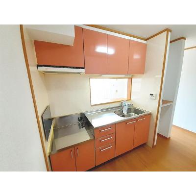 アヴニール　エテルネルＣ 203【管理NO：1-012738403-02030】 ★家具家電は申し込み後に搬入しますの物件画像