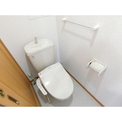 アヴニール　エテルネルＣ 203【管理NO：1-012738403-02030】 ★家具家電は申し込み後に搬入しますの物件画像