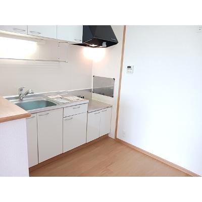 ファインコスモス 201【管理NO：1-013956101-02010】 ★家具家電は申し込み後に搬入しますの物件画像