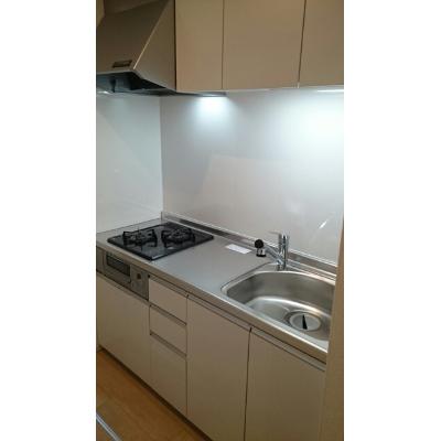 フローリッシュ　Ａ 103【管理NO：1-024883501-01030】 ★家具家電は申し込み後に搬入します★の物件画像
