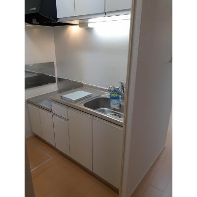 フェスターレⅢ 102【管理NO：1-019745001-01020】 ★家具家電は申し込み後に搬入しますの物件画像