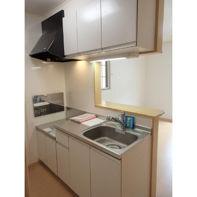 パスピエ 201【管理NO：1-015891601-02010】 ★家具家電は申し込み後に搬入します 2026年07月中旬入居可能の物件画像