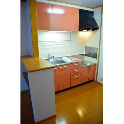 エクセランＡ 203【管理NO：1-012931401-02030】 ★家具家電は申し込み後に搬入します 2026年07月下旬入居可能の物件画像