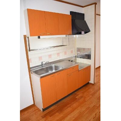 ツインズパレスⅠ 202【管理NO：1-009523501-02020】 ★家具家電は申し込み後に搬入しますの物件画像