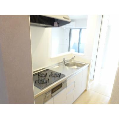 フェリーチェ　Ⅲ 205【管理NO：1-024109703-02040】 ★家具家電は申し込み後に搬入しますの物件画像