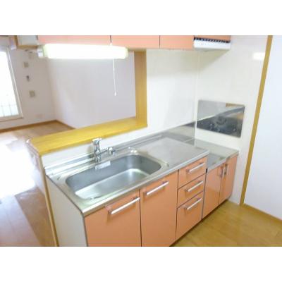 エトワール・シャン 205【管理NO：1-013356501-02040】 ★家具家電は申し込み後に搬入します★の物件画像