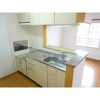 ピクシー　ヒルズ　Ｂ 203【管理NO：1-013241002-02030】 ★家具家電は申し込み後に搬入しますの物件画像