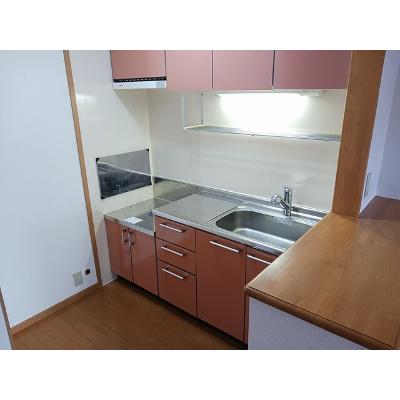 グランメゾンⅠ 201【管理NO：1-012717101-02010】 ★家具家電は申し込み後に搬入します★の物件画像