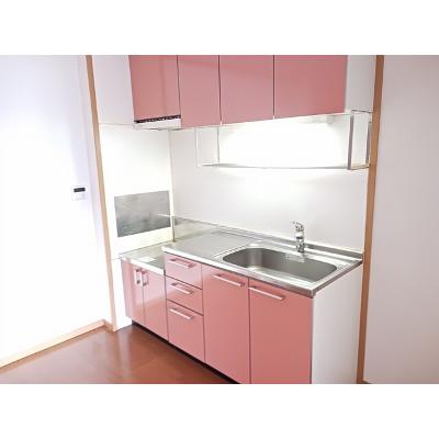 グランメゾンⅠ 101【管理NO：1-012717101-01010】 ★家具家電は申し込み後に搬入しますの物件画像