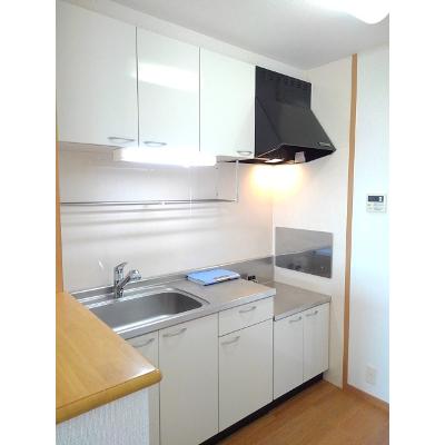 ランドマーク８９ 203【管理NO：1-013950201-02030】 ★家具家電は申し込み後に搬入しますの物件画像