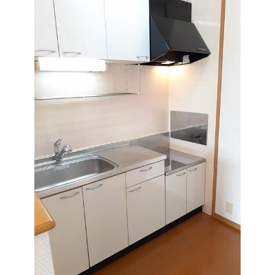 セレクトパークⅠ 202【管理NO：1-013863101-02020】 ★家具家電は申し込み後に搬入しますの物件画像