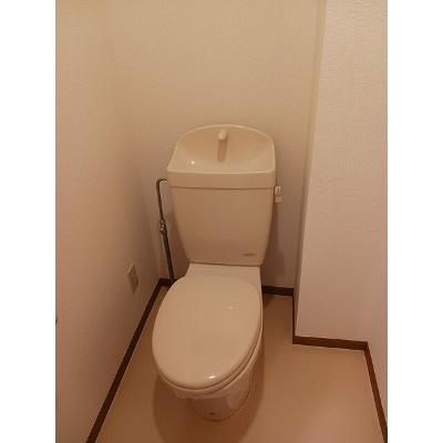ヴィア・ラッテア 202【管理NO：1-010691101-02020】 ★家具家電は申し込み後に搬入しますの物件画像