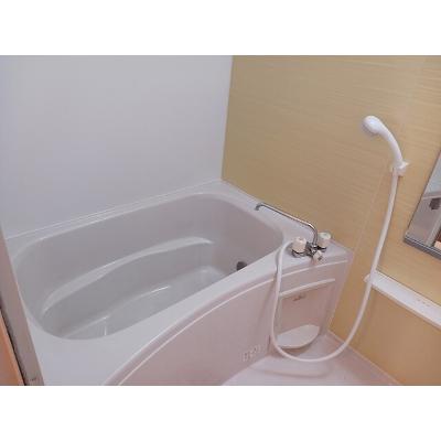コモド・ジャルダン 202【管理NO：1-016568801-02020】 ★家具家電は申し込み後に搬入しますの物件画像