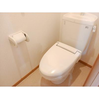 ヴィクトリーⅡ 202【管理NO：1-014684002-02020】 ★家具家電は申し込み後に搬入しますの物件画像