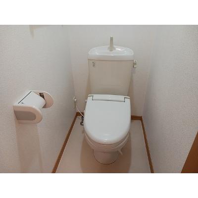 サンシャインヴィラⅡ 201【管理NO：1-014339701-02010】 ★家具家電は申し込み後に搬入しますの物件画像