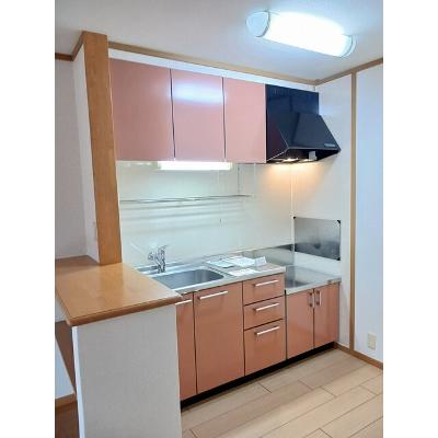 シュープリーム　Ａ棟 205【管理NO：1-012669801-02040】 ★家具家電は申し込み後に搬入しますの物件画像