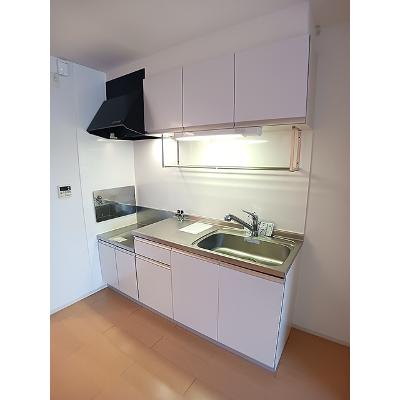 サウス　ウェルズⅡ 203【管理NO：1-017203102-02030】 ★家具家電は申し込み後に搬入しますの物件画像