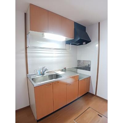 カルフール 101【管理NO：1-010541701-01010】 ★家具家電は申し込み後に搬入しますの物件画像