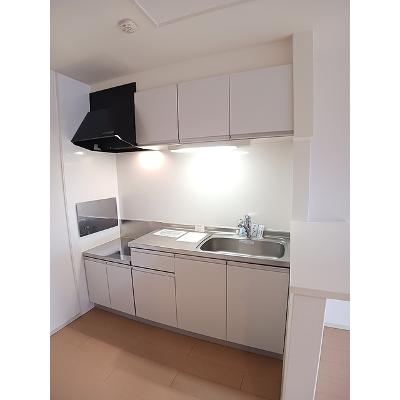 Ｒｉｒｉａ　Ⅶ　Ⅴ 204【管理NO：1-019529201-02040】 ★家具家電は申し込み後に搬入します★の物件画像