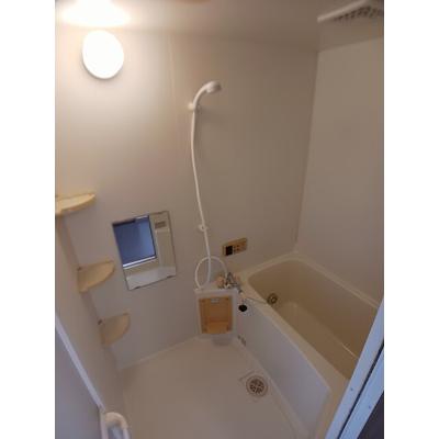 カルフールⅡ 102【管理NO：1-010872401-01020】 ★家具家電は申し込み後に搬入します★の物件画像
