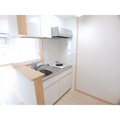 ブリリアント　テラス 301【管理NO：1-017932101-03010】 ★家具家電は申し込み後に搬入します 2026年08月下旬入居可能の物件画像