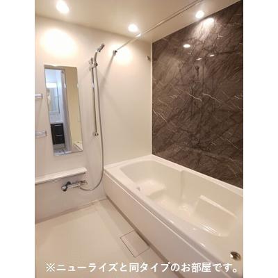 シュタインブルネン 205【管理NO：1-028598901-02050】 ★家具家電は申し込み後に搬入します 2026年09月下旬入居可能の物件画像