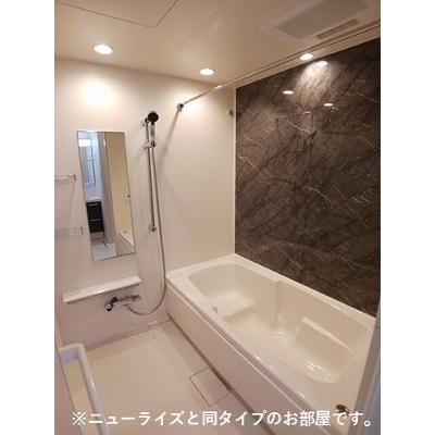 シュタインブルネン 203【管理NO：1-028598901-02030】 2026年09月下旬入居可能の物件画像
