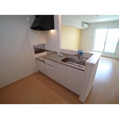 Ｌａｋｅ　Ｗｅｓｔ　西の湖　Ⅱ 202【管理NO：1-019732502-02020】 ★家具家電は申し込み後に搬入しますの物件画像
