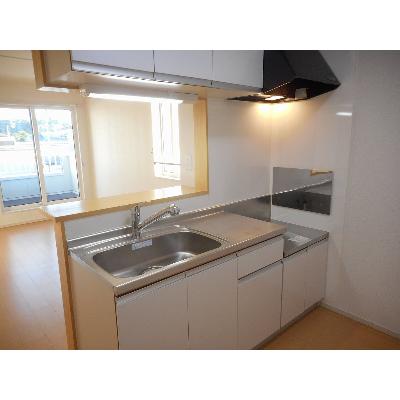 ＲｉｒｉａⅦ　１ 201【管理NO：1-019271001-02010】 ★家具家電は申し込み後に搬入しますの物件画像