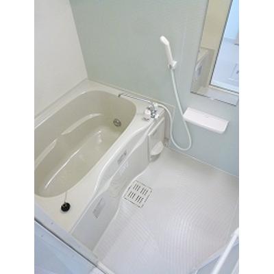 レイクパレット 205【管理NO：1-019238101-02050】 ★家具家電は申し込み後に搬入します★の物件画像