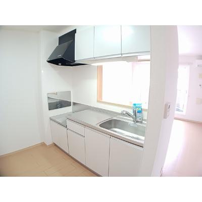 アイリット・Ｉ 202【管理NO：1-015624101-02020】 ★家具家電は申し込み後に搬入しますの物件画像