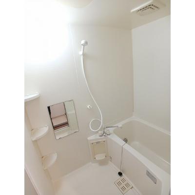 コーラルリーフ 104【管理NO：1-011163501-01040】 ★家具家電は申し込み後に搬入しますの物件画像