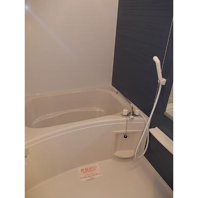 サンシャインⅡ 201【管理NO：1-017269902-02010】 2026年07月中旬入居可能の物件画像