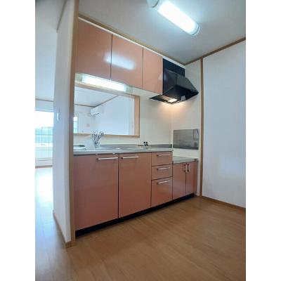 アン．ソレイユ 203【管理NO：1-013308801-02030】 ★家具家電は申し込み後に搬入しますの物件画像