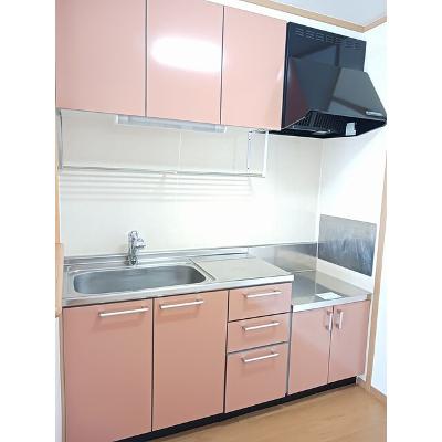 サンライズ 201【管理NO：1-012840001-02010】 ★家具家電は申し込み後に搬入しますの物件画像