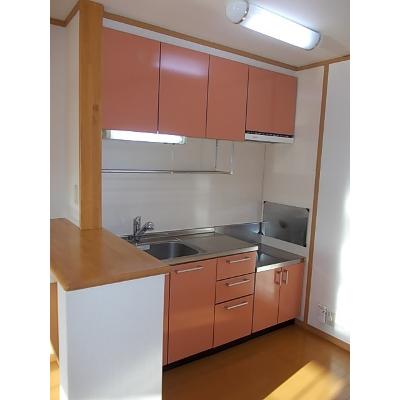 ハイファイン藤 203【管理NO：1-012769901-02030】 ★家具家電は申し込み後に搬入しますの物件画像
