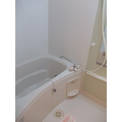 ハイファイン藤 203【管理NO：1-012769901-02030】 ★家具家電は申し込み後に搬入しますの物件画像